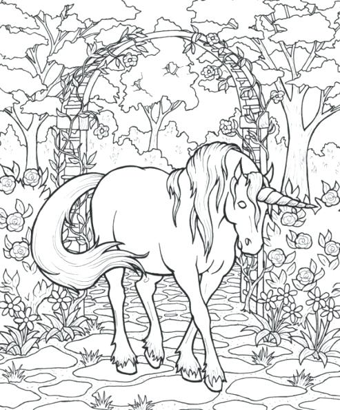 Harry Potter Dragon Coloring Pages at GetColorings.com | Free printable