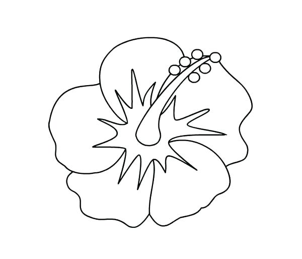 Hawaiian Flower Coloring Page at GetColorings.com | Free printable