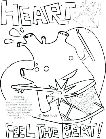 Heart Anatomy Color By Number