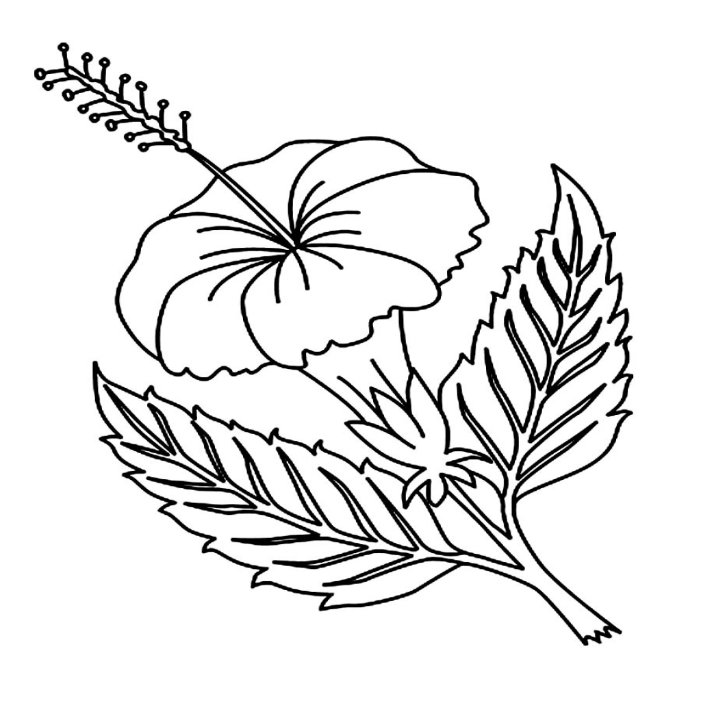 Hibiscus Coloring Page at GetColorings.com | Free printable colorings