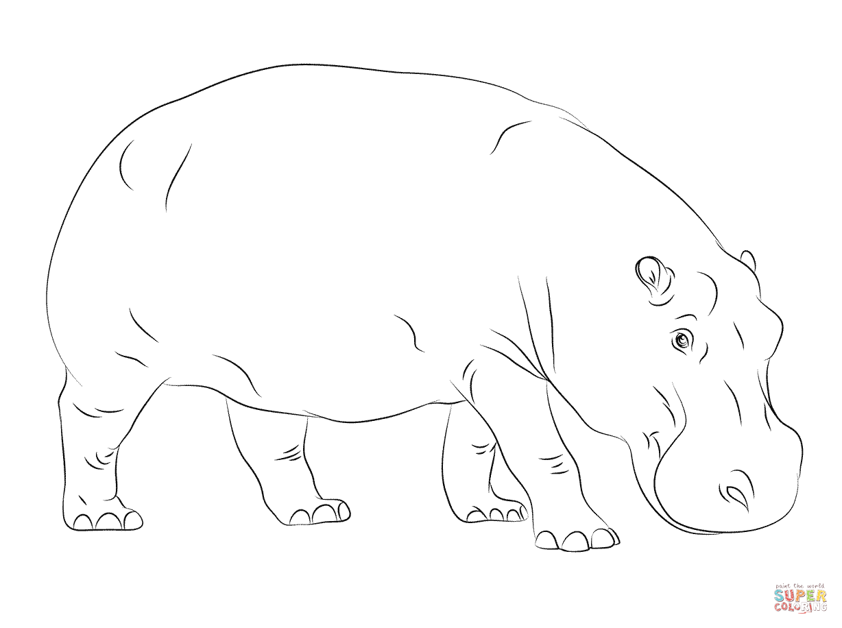 Hippo Coloring Pages at Free printable colorings