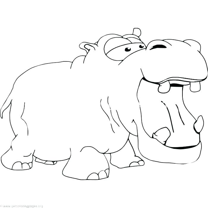 700x700 Hippopotamus Coloring Pages Cute Hippo Baby