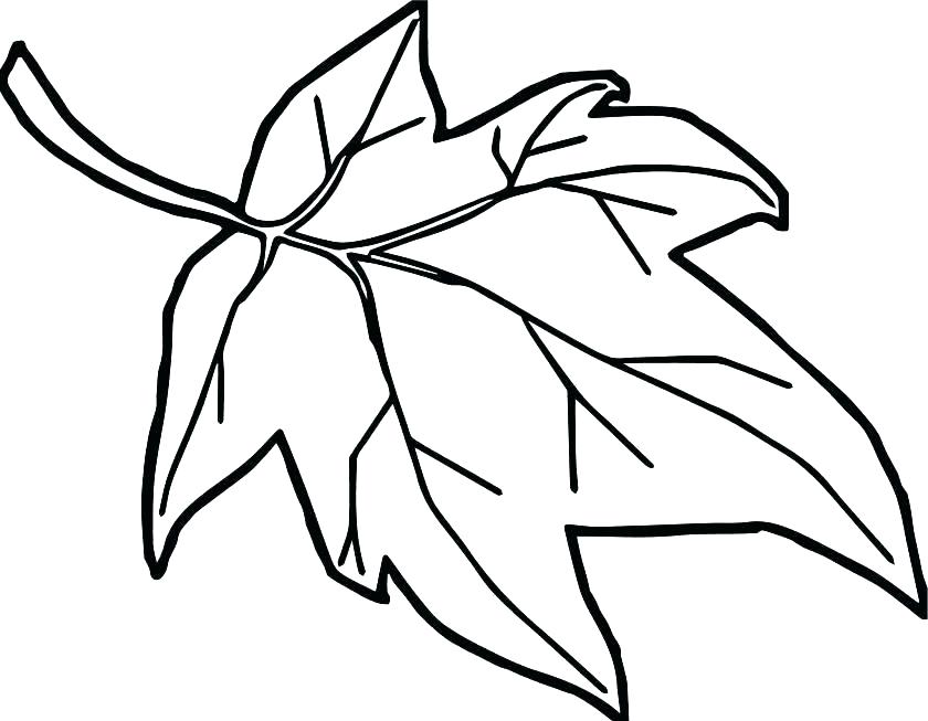 Holly Berry Coloring Pages at GetColorings.com | Free printable