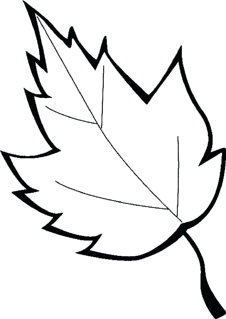 Printable Leaf Coloring Pages