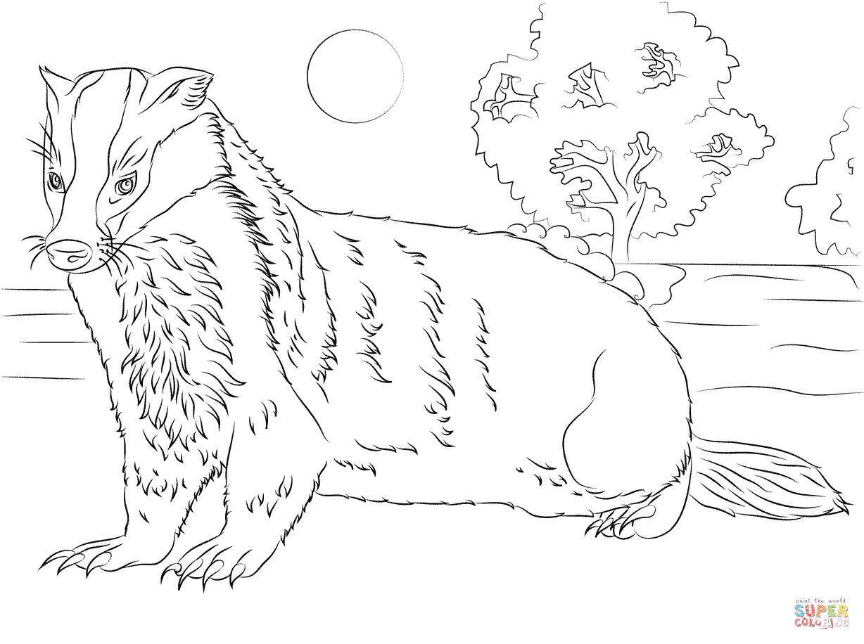 Honey Badger Coloring Page at GetColorings.com | Free printable