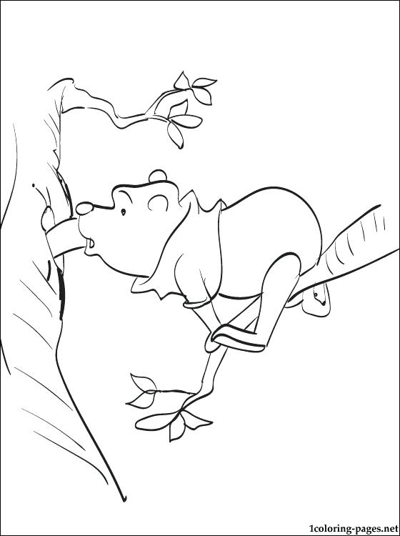 Pooh Honey Pot Coloring Pages