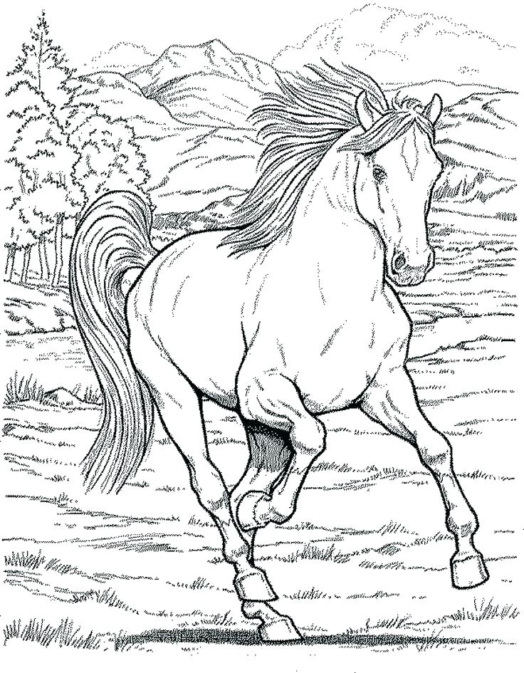 Horse And Rider Coloring Pages At Getcolorings.com | Free Printable