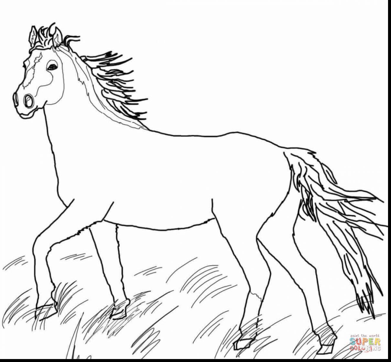 horse coloring pages for girls at getcolorings  free