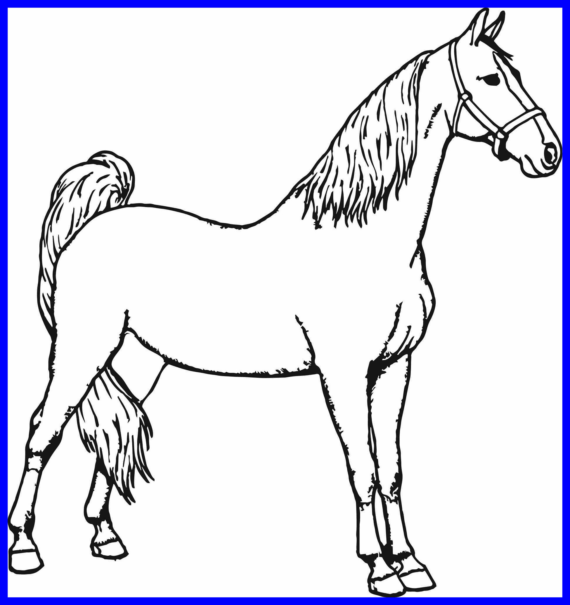 Printable Horse Coloring Pictures