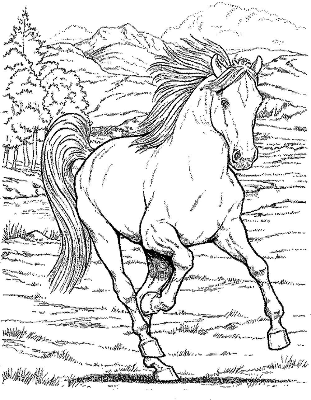 Horse Herd Coloring Pages At Free Printable