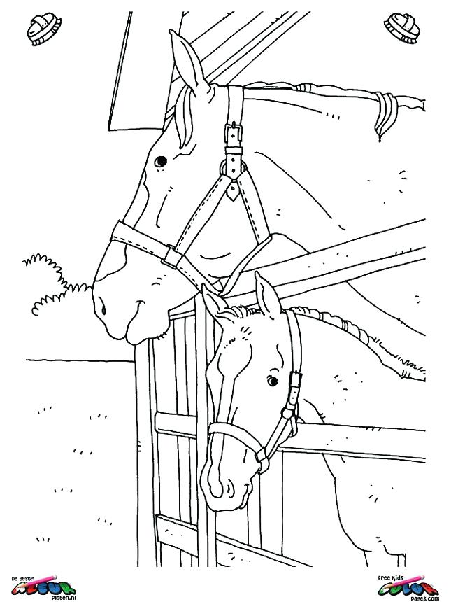Wild Spirit Horse Coloring Pages - Print out this page and color it