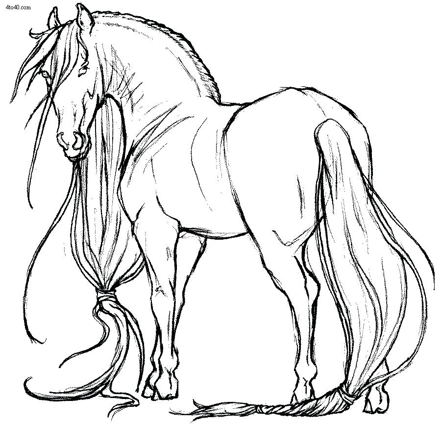 horse-herd-coloring-pages-at-getcolorings-free-printable