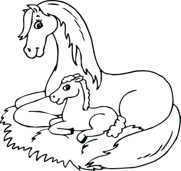 horse images coloring pages at getcolorings  free