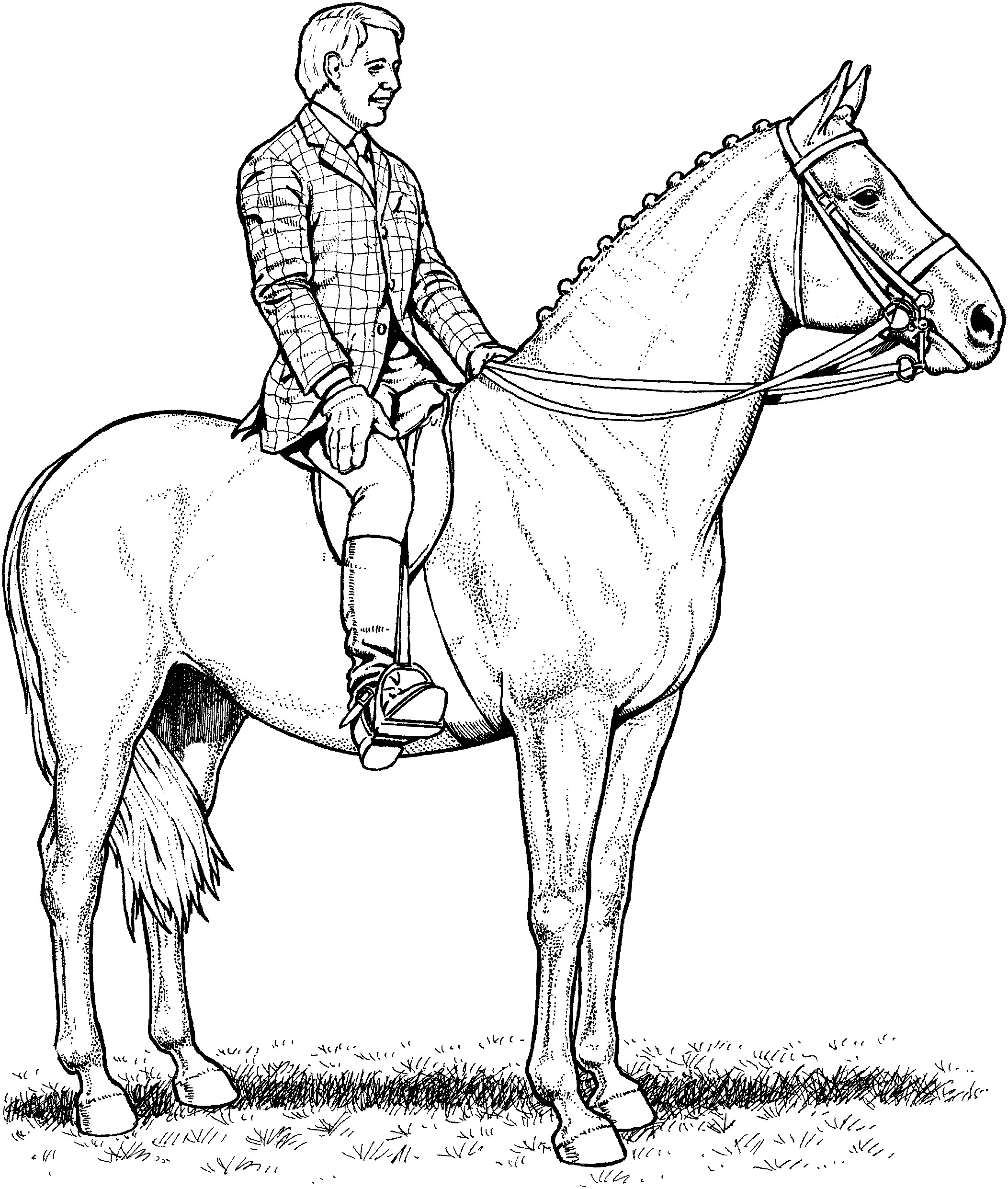 Horse Jumping Coloring Pages at GetColorings.com | Free ...