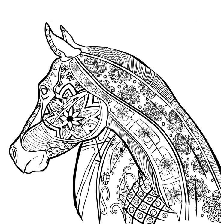 Horse Zentangle Coloring Pages at GetColorings.com | Free printable