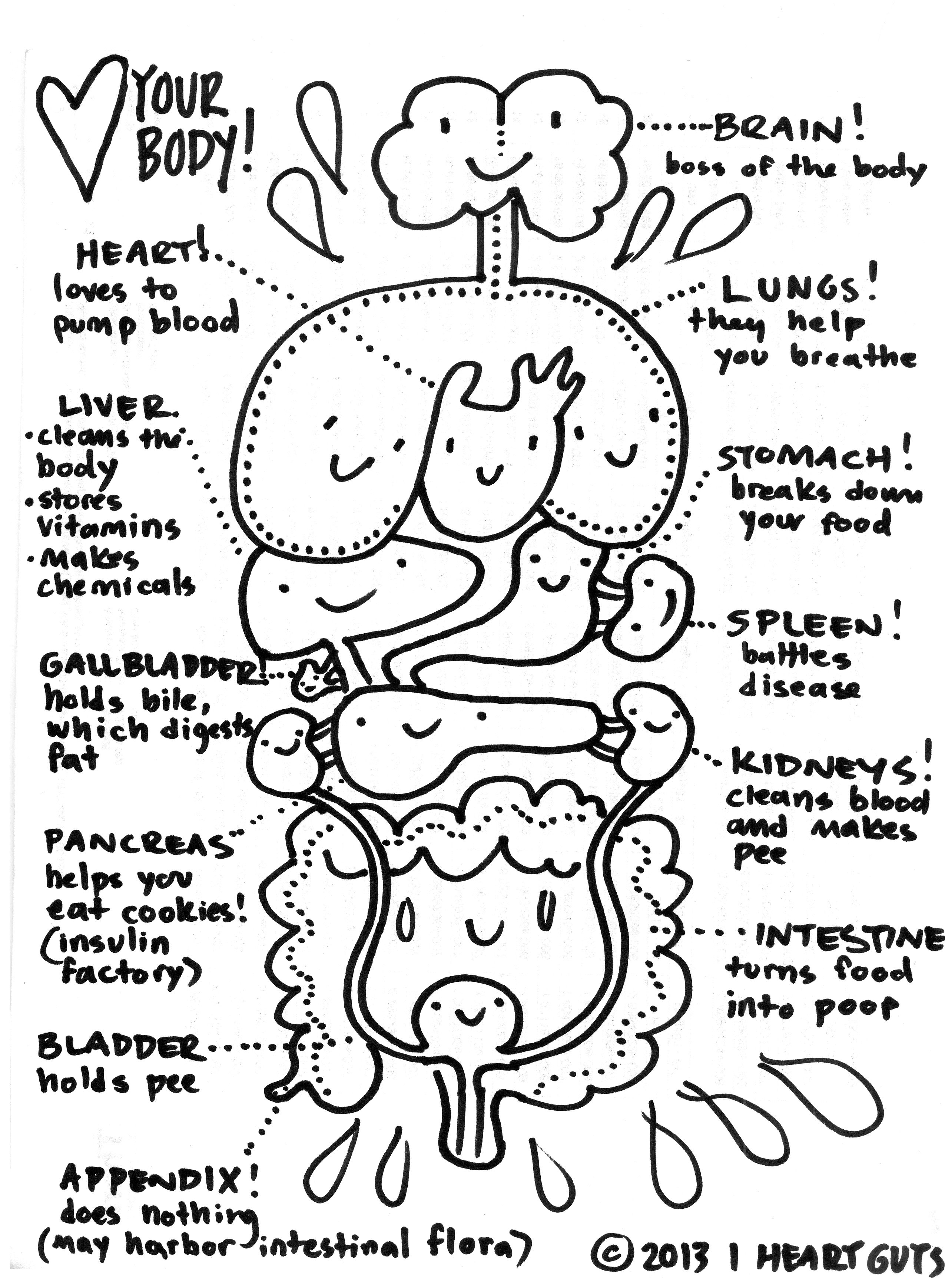 Human Anatomy Coloring Pages at GetColorings.com | Free printable