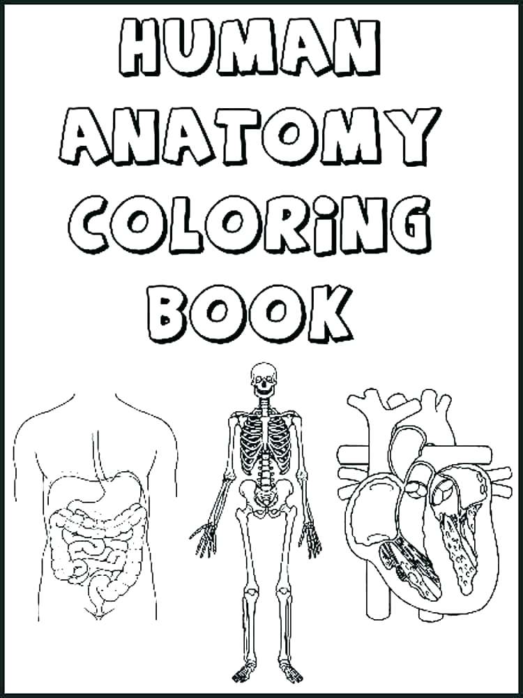 Human Coloring Pages at GetColorings.com | Free printable colorings