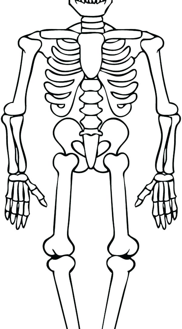 Free Printable Skeleton Printable Word Searches