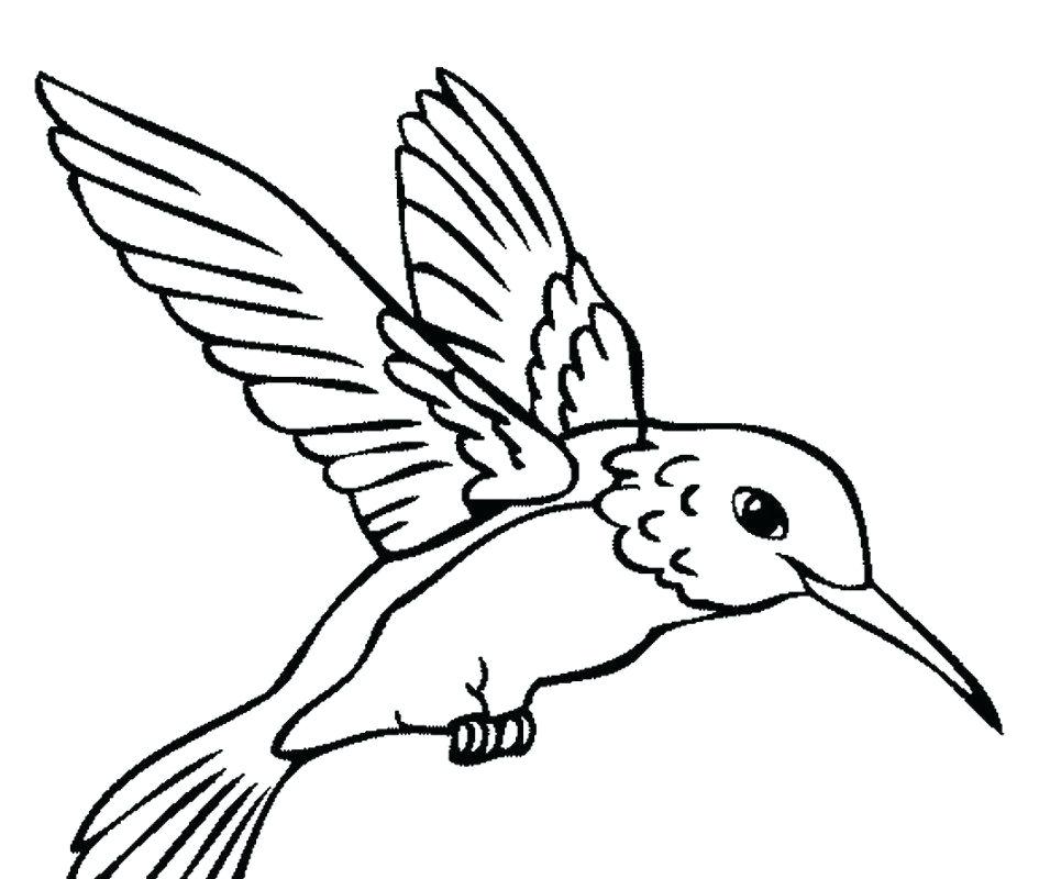 945x800 Hummingbird Coloring Pages Beautiful Page Printable For Kids Free