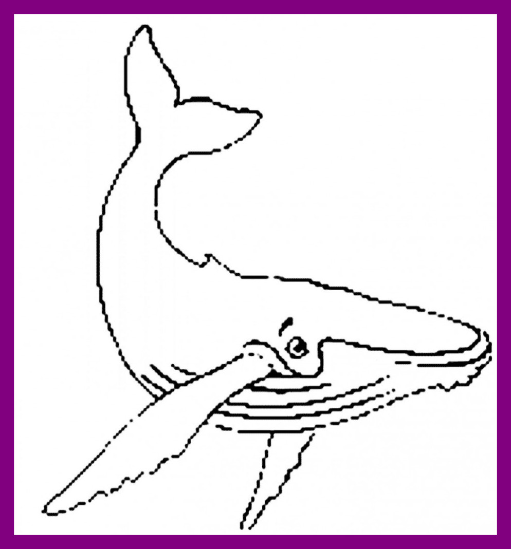 Humpback Whale Coloring Pages at GetColorings.com | Free printable