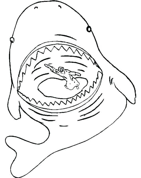 Realistic Whale Coloring Pages - Whale Coloring Pages & Printables