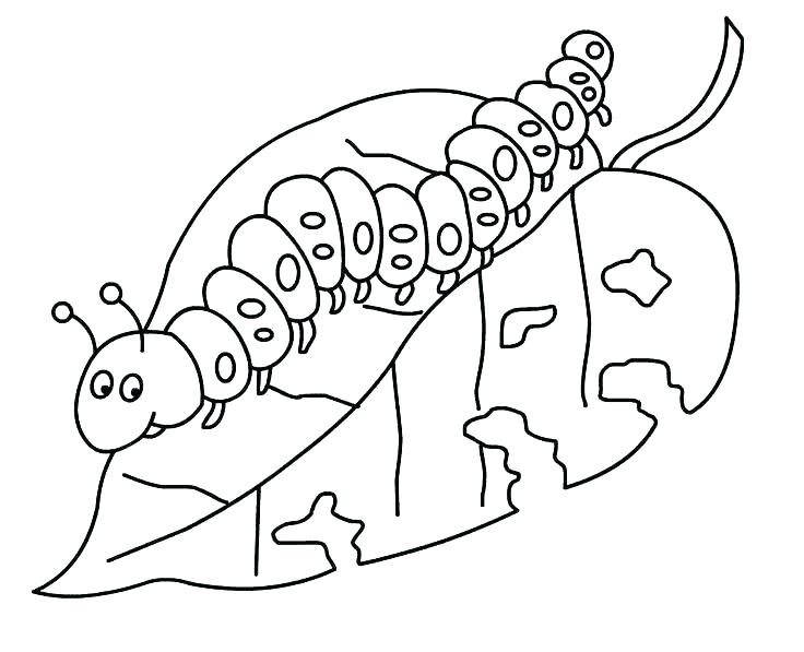 736x597 Very Hungry Caterpillar Coloring Page Book Plus