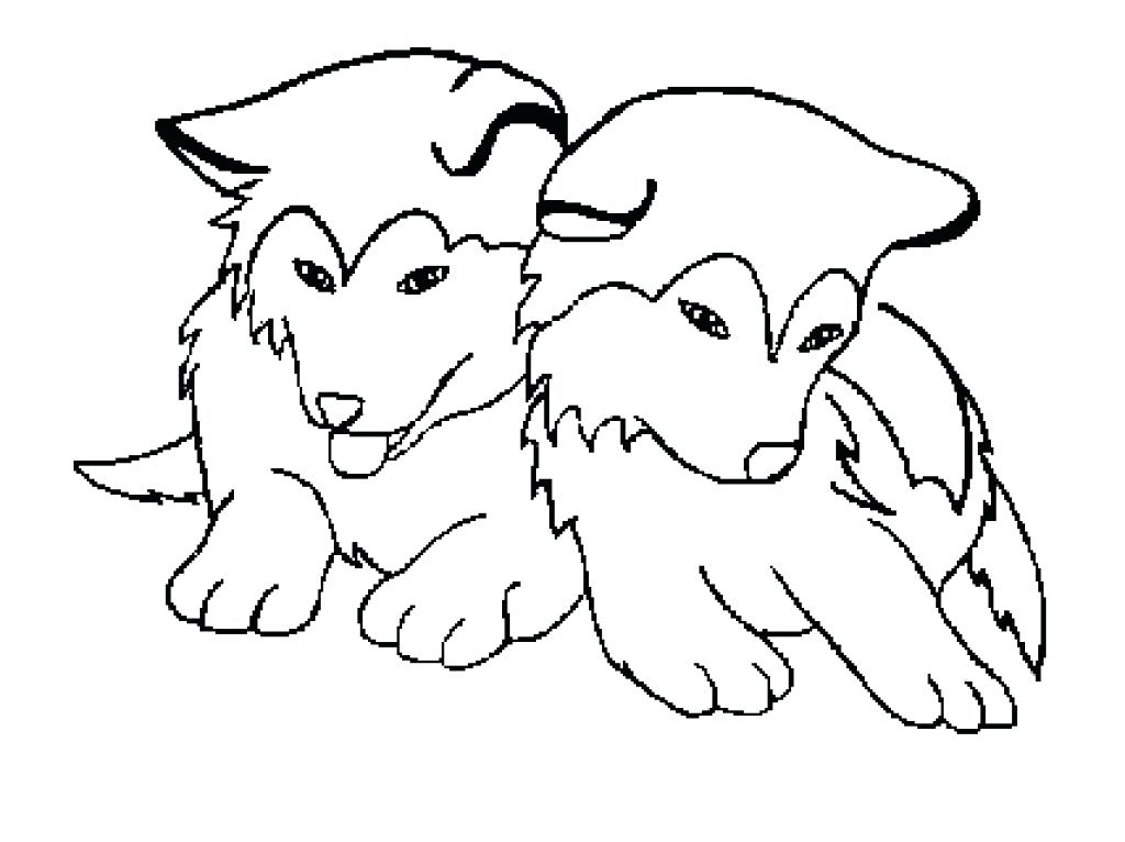Husky Coloring Pages at Free printable