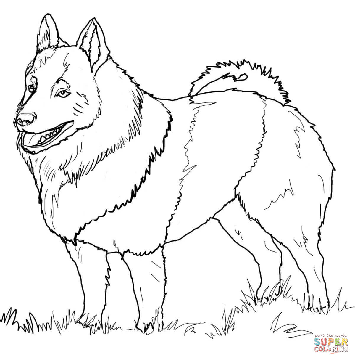 Husky Coloring Pages at Free printable