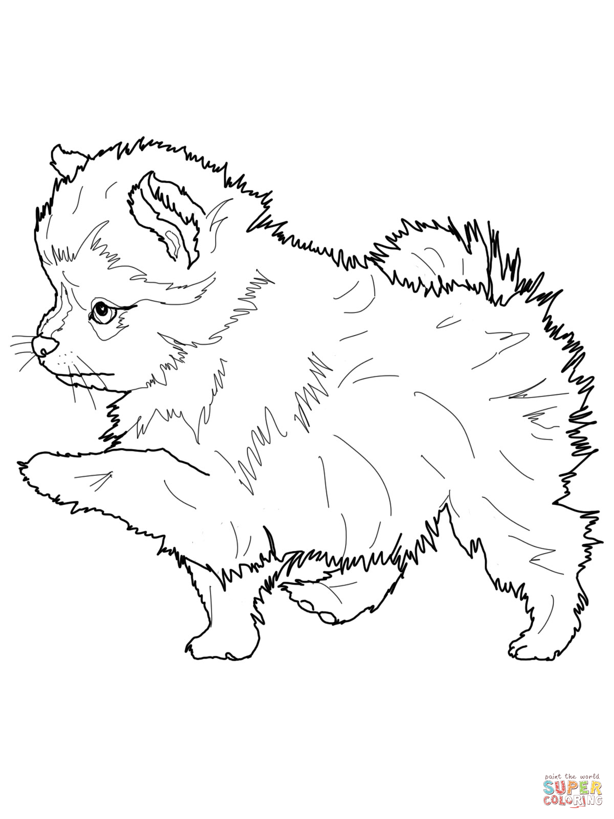 Husky Puppy Coloring Pages at Free printable