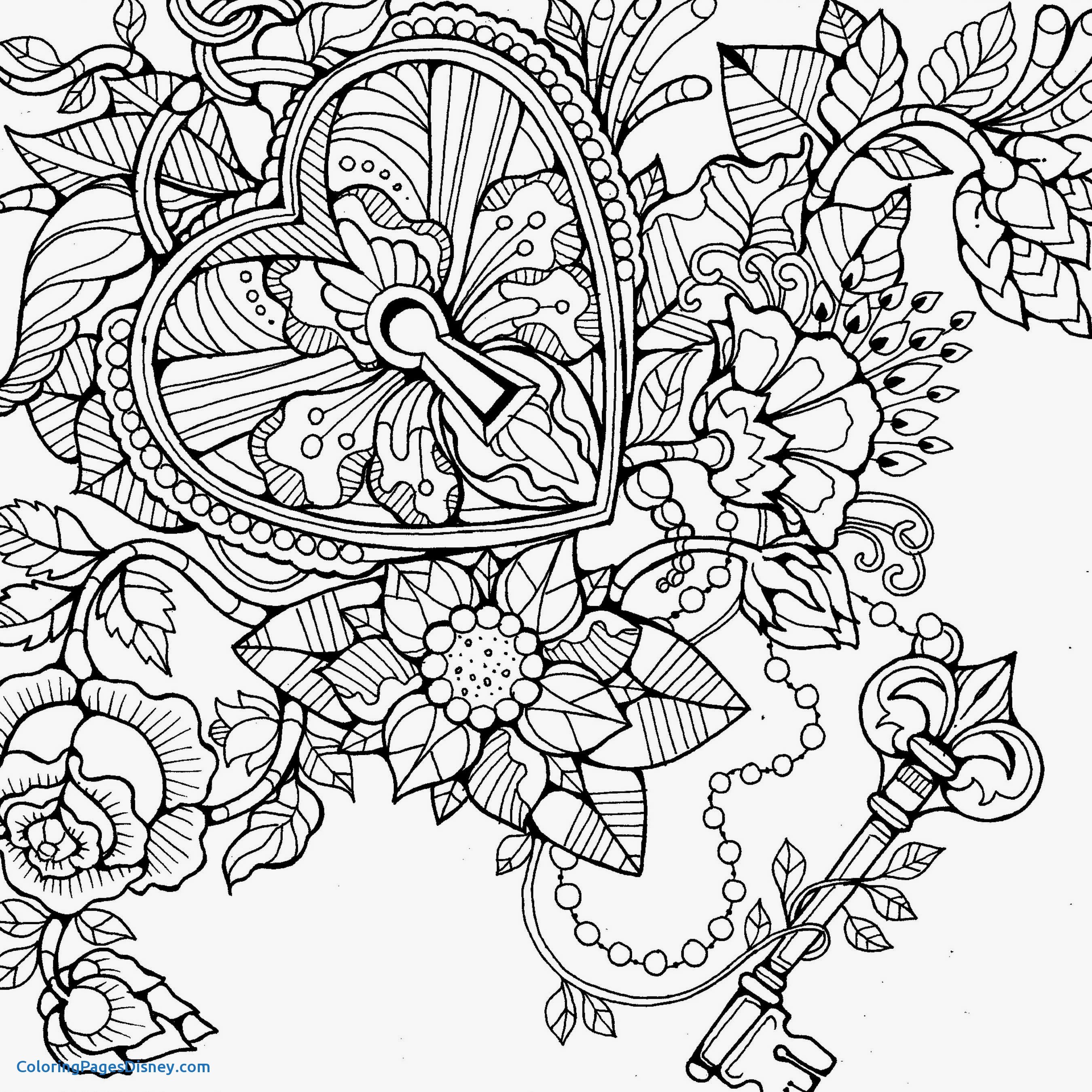 Hydrangea Coloring Page at GetColorings.com | Free printable colorings