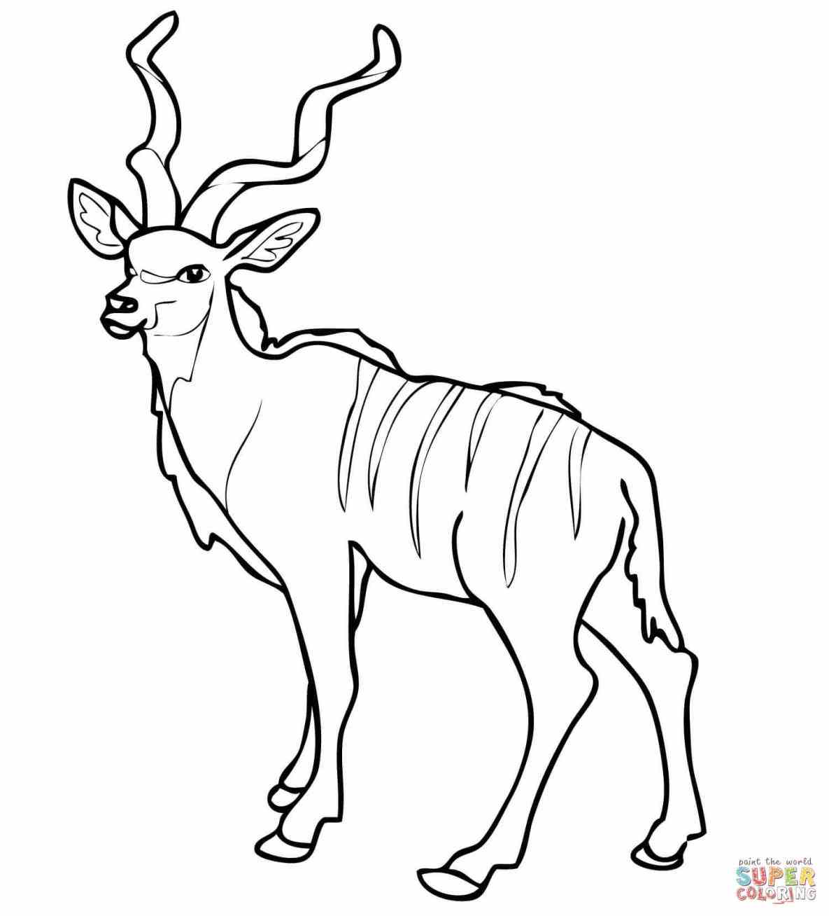 Impala Coloring Pages at GetColorings.com | Free printable colorings