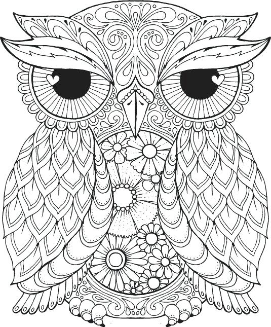 10 Intricate Animal Coloring Pages to Unleash Your Inner Artist