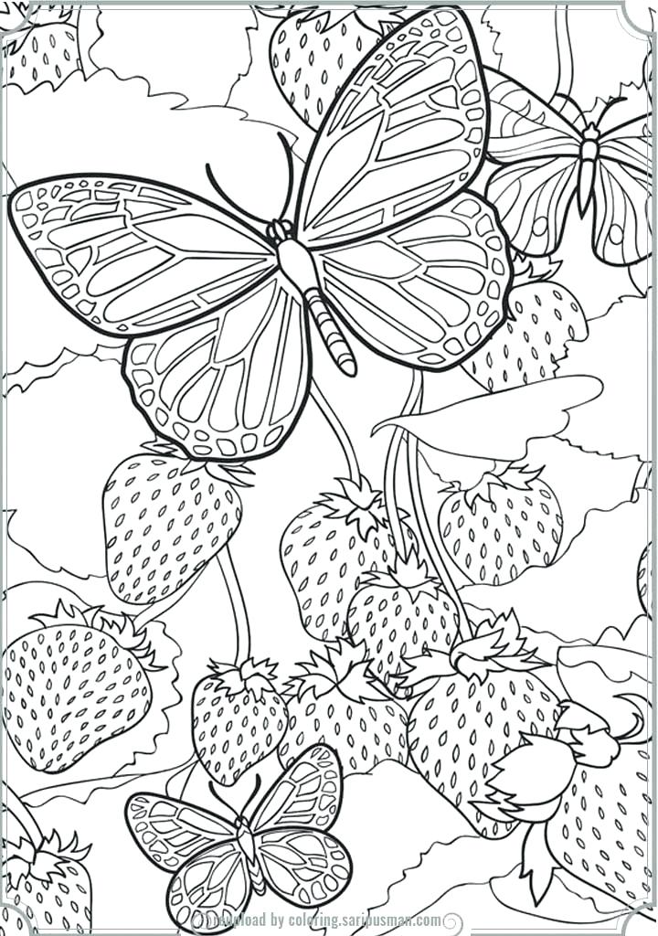 Intricate Butterfly Coloring Pages at Free printable