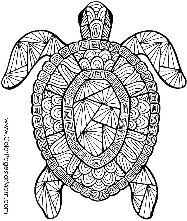 intricately-detailed-coloring-pages