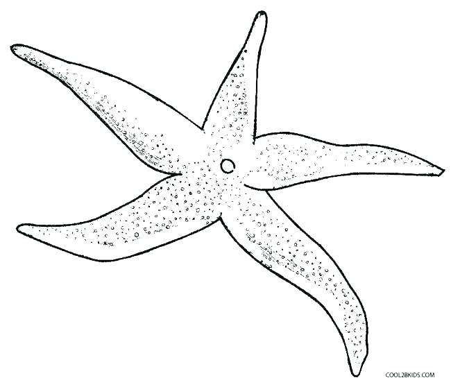 Invertebrates Coloring Pages at GetColorings.com | Free printable