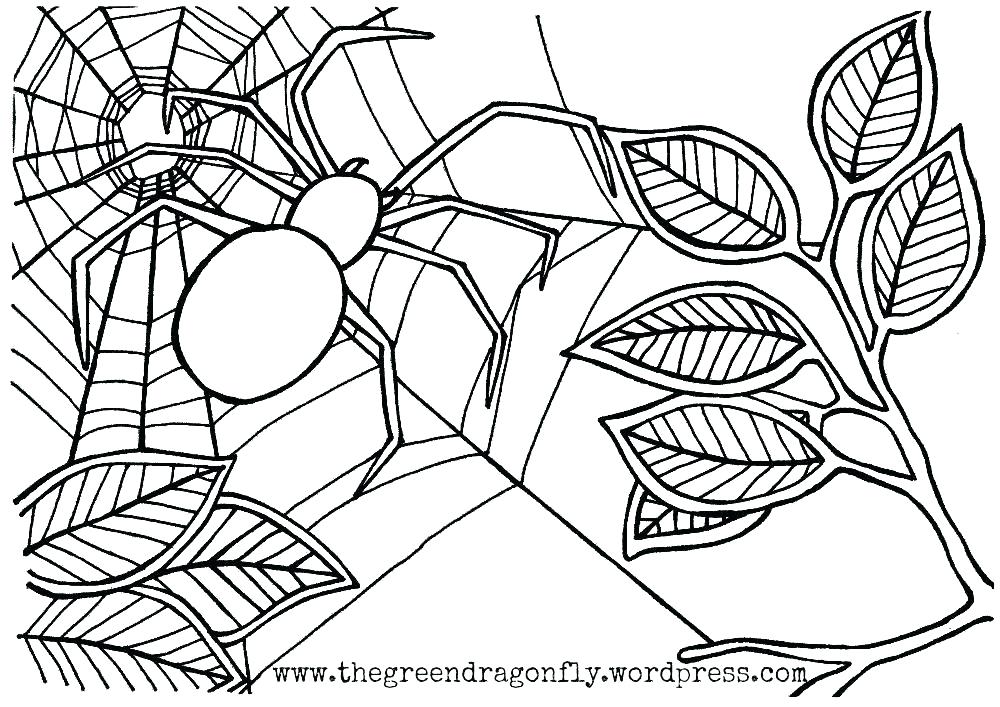 Iron Spider Coloring Pages at GetColorings.com | Free ...