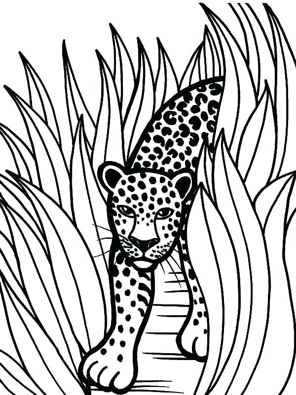 Jacksonville Jaguars Coloring Pages at GetColorings.com | Free