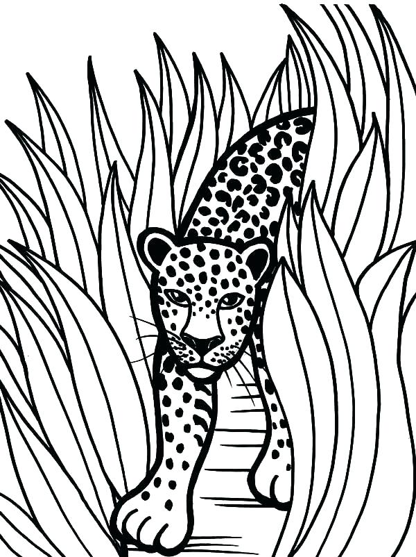 Jaguar Car Coloring Pages at GetColorings.com | Free printable