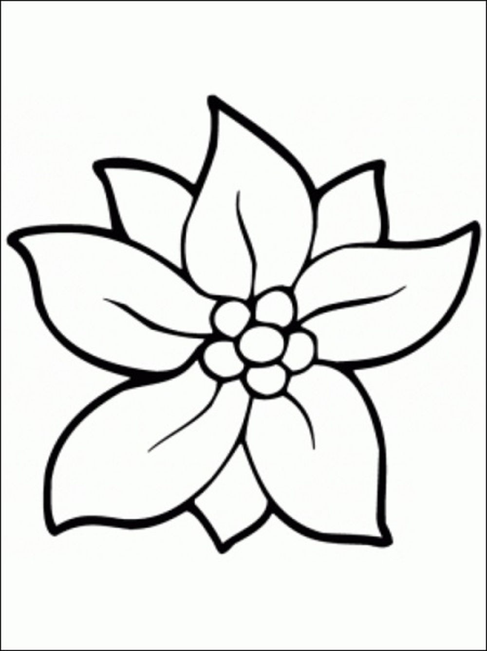Jasmine Flower Coloring Pages at GetColorings.com | Free printable