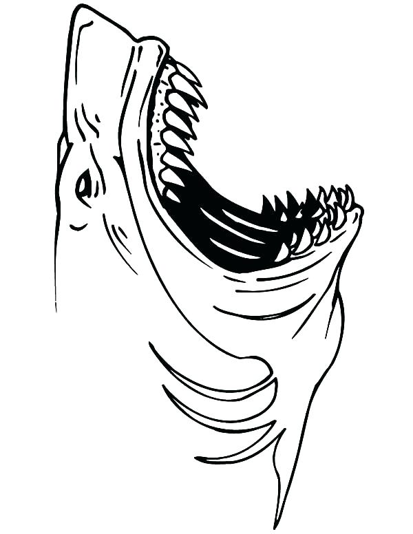 Jaws Coloring Pages at GetColorings.com | Free printable colorings