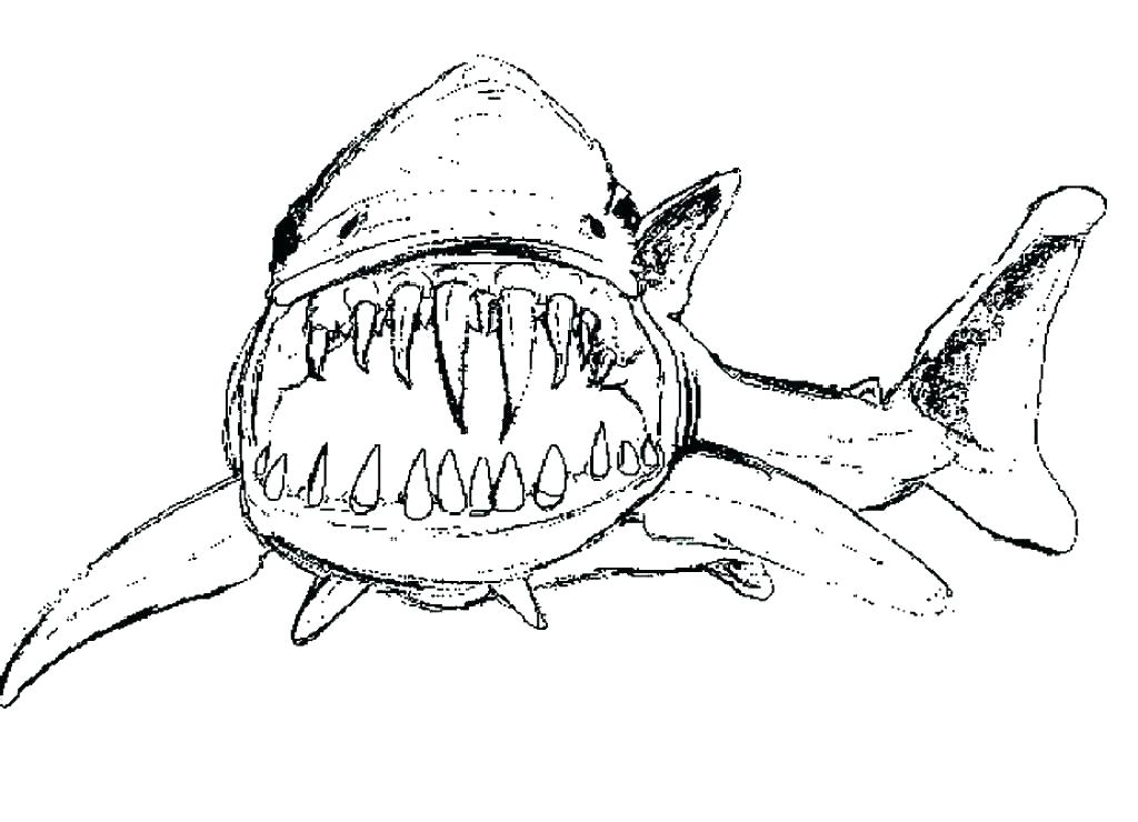 Jaws Coloring Pages at GetColorings.com | Free printable colorings