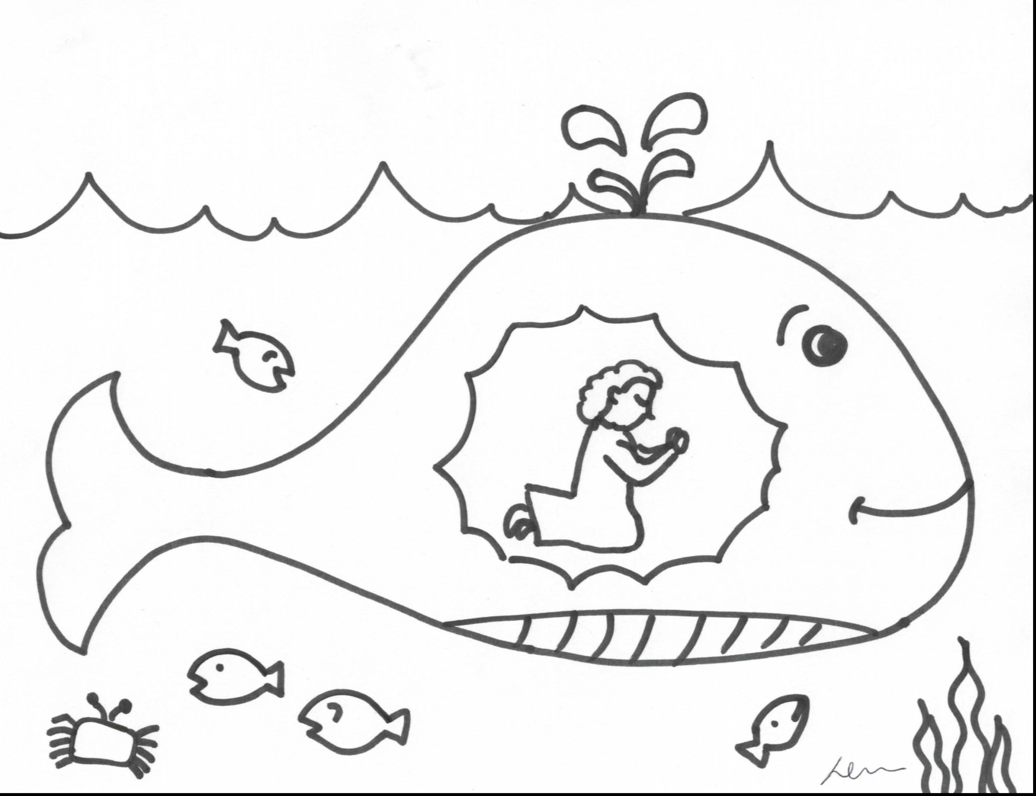 Jonah And The Whale Coloring Page at GetColorings.com ...