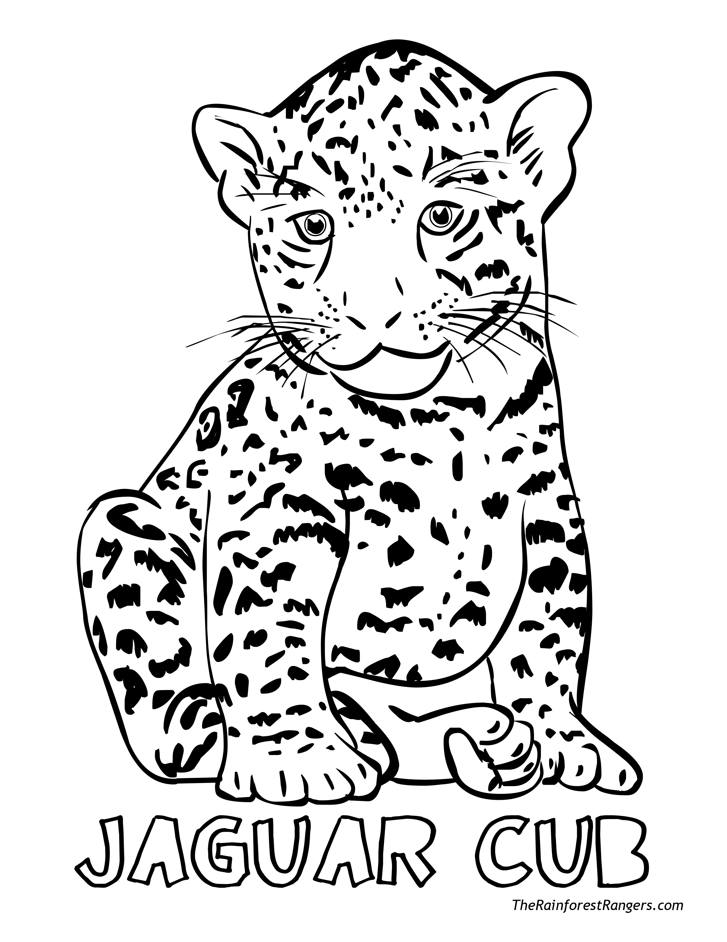 Jungle Animals Coloring Pages at GetColorings.com | Free printable