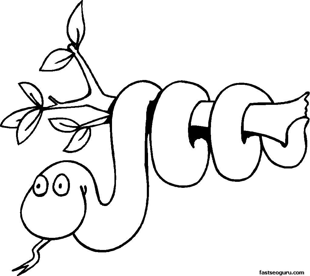 Jungle Animals Coloring Pages Preschool at GetColorings.com | Free