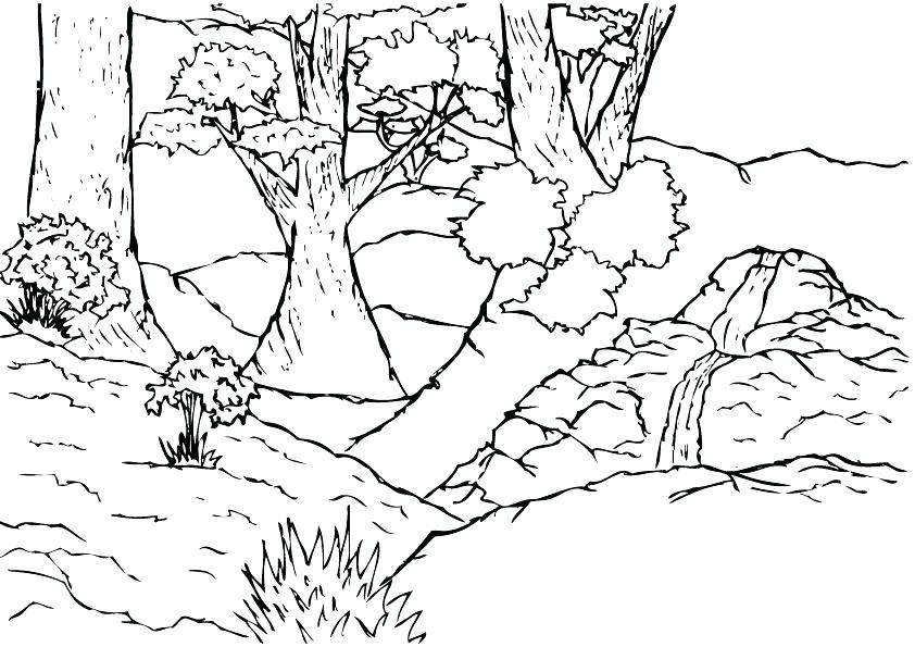 Jungle Coloring Pages at GetColorings.com | Free printable colorings