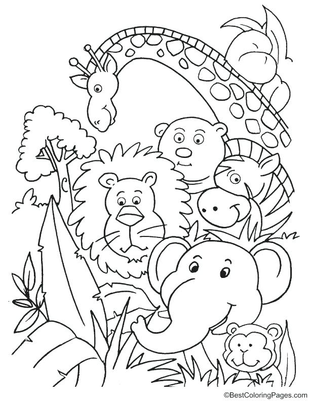 Jungle Coloring Pages At GetColorings Free Printable Colorings 