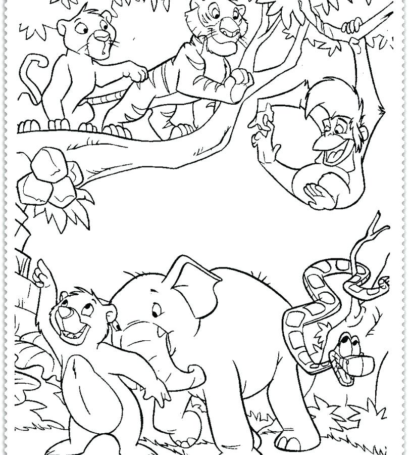 Jungle Coloring Pages at GetColorings.com | Free printable colorings