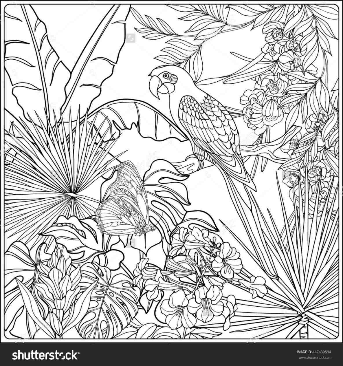 Jungle Coloring Pages For Adults at Free printable