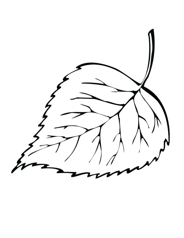 Jungle Leaves Coloring Pages at GetColorings.com | Free printable