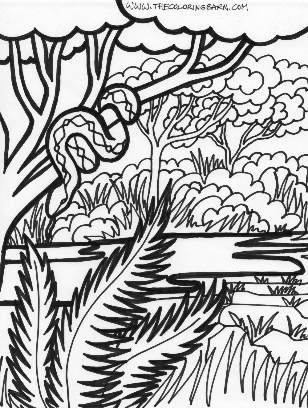 Jungle Plants Coloring Pages at GetColorings.com | Free printable